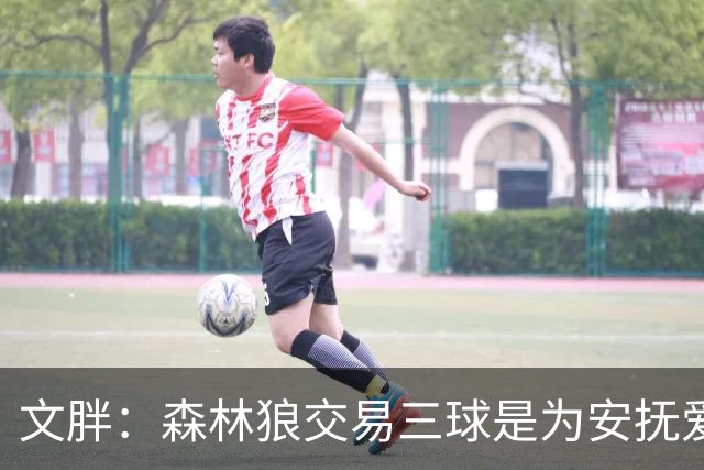 文胖：森林狼交易三球是为安抚爱德华兹 他一赛季被包夹近1000次