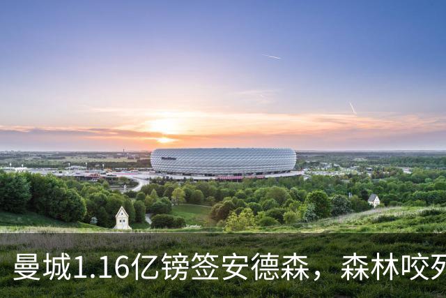 曼城1.16亿镑签安德森，森林咬死现金支付，创英球员转会纪录